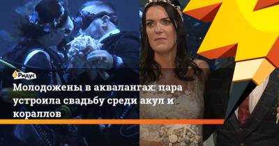 Молодожены в аквалангах: пара устроила свадьбу среди акул и кораллов - ridus.ru - Англия - Кипр