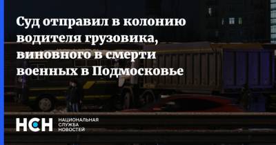 Суд отправил в колонию водителя грузовика, виновного в смерти военных в Подмосковье - nsn.fm - Россия - Московская обл. - Саратовская обл. - Саратов - Волгоград - Московская область