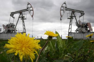 Минприроды сообщило о снижении запасов нефти - tvc.ru - Россия