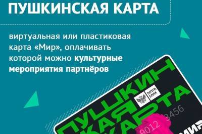 Зачем псковской молодёжи Пушкинская карта и как её оформить – рассказал ЦУР - mk-pskov.ru - Россия - Псковская обл. - Псков