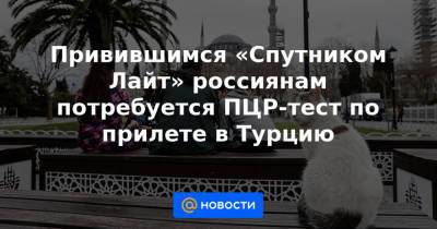 Привившимся «Спутником Лайт» россиянам потребуется ПЦР-тест по прилете в Турцию - news.mail.ru - Турция