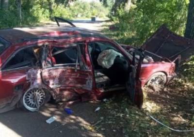 В Киевской области пьяный водитель спровоцировал смертельное ДТП: погиб пассажир. ФОТО - enovosty.com - Киев - Киевская обл. - Львов