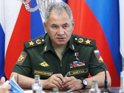 Сергей Шойгу - Шойгу заявил об отсутствии необходимости в большом населении для вывоза сырья в Азию - newsland.com - Китай - Города