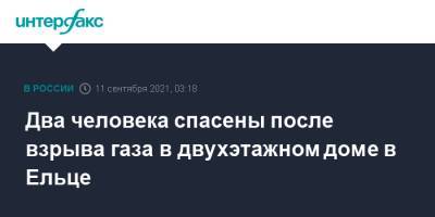 Два человека спасены после взрыва газа в двухэтажном доме в Ельце - interfax.ru - Москва - Липецкая обл.