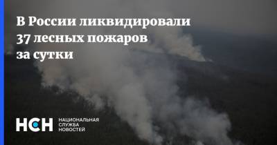 В России ликвидировали 37 лесных пожаров за сутки - nsn.fm - Россия - респ. Саха - Свердловская обл. - респ. Марий Эл
