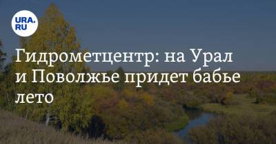 Роман Вильфанд - Гидрометцентр: на Урал и Поволжье придет бабье лето - ura.news - Россия - Челябинская обл. - Свердловская обл.