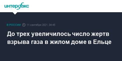 До трех увеличилось число жертв взрыва газа в жилом доме в Ельце - interfax.ru - Москва - Липецкая обл. - район Елецкий