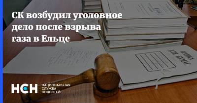 СК возбудил уголовное дело после взрыва газа в Ельце - nsn.fm - Россия - Липецкая обл. - район Елецкий - Солидарность, район Елецкий