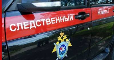 Женщина и ребенок погибли в результате взрыва газа в жилом доме под Ельцом - profile.ru - Липецкая обл. - Солидарность