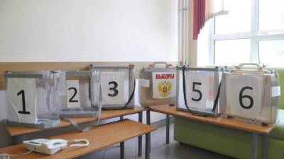 Досрочное голосование на выборах в Госдуму началось в Таиланде и Японии - vm.ru - Россия - Япония - Таиланд