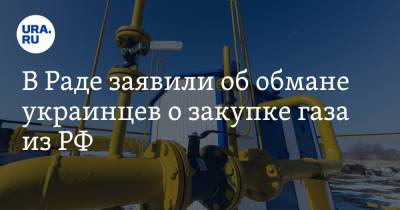 Анна Скороход - В Раде заявили об обмане украинцев о закупке газа из РФ. «Это программа „Лох плюс“» - ura.news - Россия - Украина - Германия - Словакия