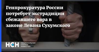 Генпрокуратура России потребует экстрадиции сбежавшего вора в законе Левана Сухумского - nsn.fm - Россия - Владимирская обл. - Испания