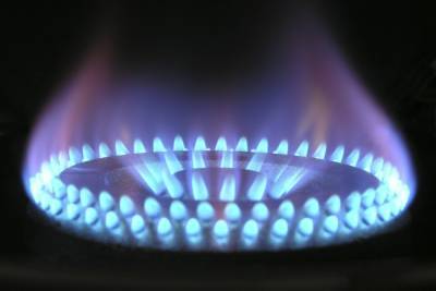 Анна Скороход - В Раде признали обман украинцев при закупках российского газа - mk.ru - Россия - Украина - Киев - Словакия