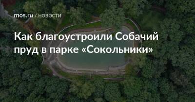 Петр Бирюков - Как благоустроили Собачий пруд в парке «Сокольники» - mos.ru - Москва - Благоустройство