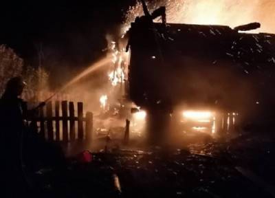 Сожитель-мигрант в Твери ночью пытался сжечь спящую мать с пятью детьми - province.ru - Узбекистан - Тверь