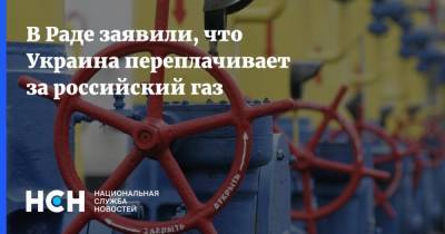 Анна Скороход - В Раде заявили, что Украина переплачивает за российский газ - nsn.fm - Москва - Россия - Украина - Киев - Словакия