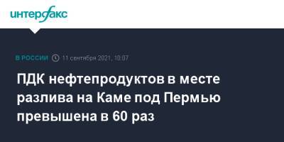 ПДК нефтепродуктов в месте разлива на Каме под Пермью превышена в 60 раз - interfax.ru - Москва - Пермь - Пермский край - Краснокамск