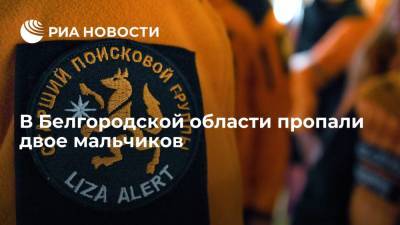 В Белгородской области пропали двое мальчиков, ведутся поиски - ria.ru - Россия - Воронеж - Белгородская обл. - городское поселение Старооскольский