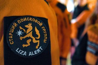 В Белгородской области пропали двое мальчиков - aif.ru - Россия - Белгородская обл. - городское поселение Старооскольский