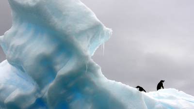Daily Express: ученые из США хотят раскрыть секрет 1,5-миллионной давности в Антарктиде - inforeactor.ru - США - Антарктида - штат Орегон