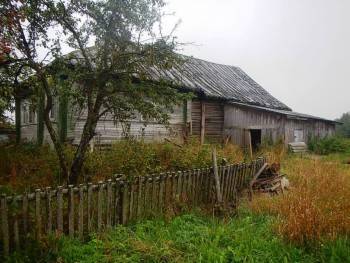 Немецкая овчарка Эмма помогла найти грязовецких преступниц - vologda-poisk.ru - Вологодская обл.
