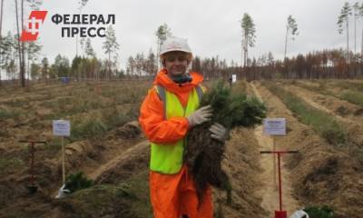 Александр Моор - Тюменский губернатор рассказал о восстановлении лесов после пожаров - fedpress.ru - Тюмень - Тюменская обл.
