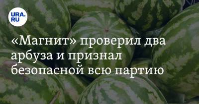 «Магнит» проверил два арбуза и признал безопасной всю партию - ura.news - Москва - Московская обл.