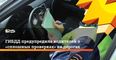 ГИБДД предупредила водителей о «сплошных проверках» на дорогах - ridus.ru