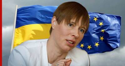Керсти Кальюлайд - Президент Эстонии Кальюлайд оценила дистанцию от Украины до ЕС в "несколько световых лет" - profile.ru - Украина - Киев - Эстония