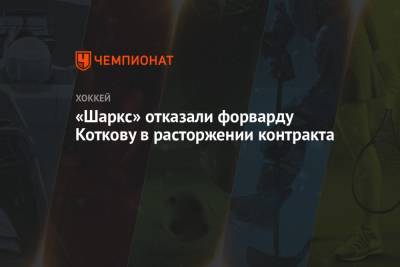 «Шаркс» отказали форварду Коткову в расторжении контракта - championat.com - Москва - Россия - Сан-Хосе