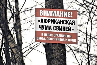 Сергей Ситников - В Костромской области из-за АЧС ограничена охота на кабанов - kostroma.mk.ru - Костромская обл.