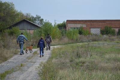 В Белгородской области живыми нашли двух пропавших в ночь на 11 сентября детей - mk.ru - Белгородская обл. - городское поселение Старооскольский