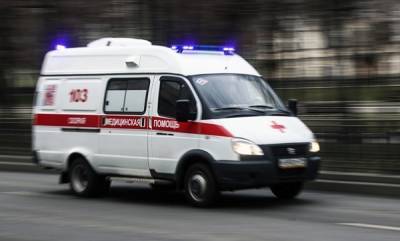 Вадим Покровский - Инфекционист перечислил симптомы отравления арбузом или дыней - govoritmoskva.ru - Москва - Россия