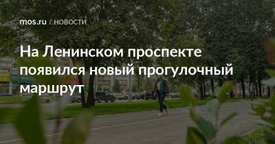 На Ленинском проспекте появился новый прогулочный маршрут - mos.ru - Москва
