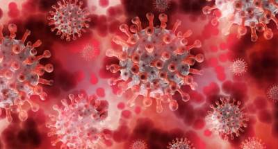 В китайской провинции Фуцзянь выявили новый эпицентр заражения коронавирусом - actualnews.org - Китай - Нанкин - провинция Фуцзянь