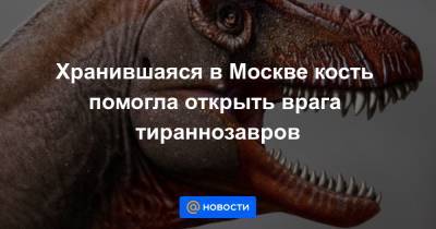Хранившаяся в Москве кость помогла открыть врага тираннозавров - news.mail.ru - Москва - Канада