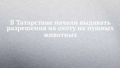 В Татарстане начали выдавать разрешения на охоту на пушных животных - chelny-izvest.ru - респ. Татарстан - Набережные Челны