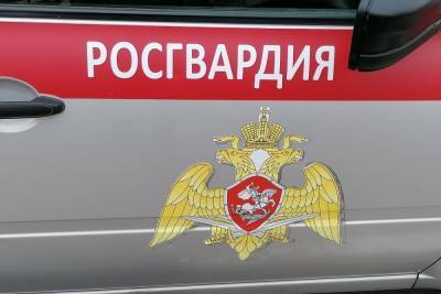 Тульский стадион Арсенал проверяют кинологи с собаками - tula.mk.ru - Россия - Тула - Тульская обл.