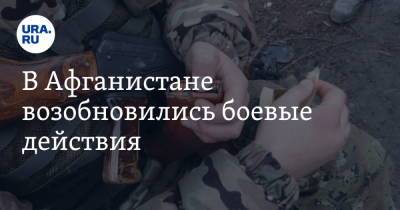 В Афганистане возобновились боевые действия - ura.news - Россия - Афганистан