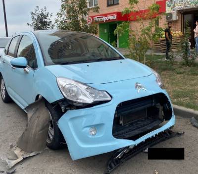 Толпа бездомных собак в Ростове растерзала иномарку - privet-rostov.ru