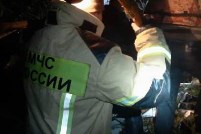 Семьи погибших и пострадавших при крушении L-410 под Иркутском получат выплаты - lenta.ru - Москва - Россия - Иркутск