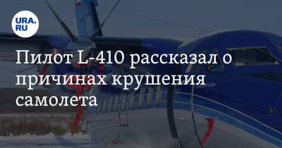 Пилот L-410 рассказал о причинах крушения самолета - ura.news - Москва - Россия
