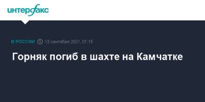 Горняк погиб в шахте на Камчатке - interfax.ru - Москва - Камчатский край