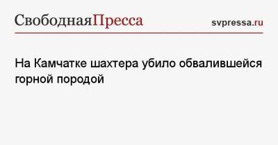 На Камчатке шахтера убило обвалившейся горной породой - svpressa.ru - Московская обл.