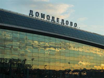 В Домодедово пассажирка потеряла сданную в багаж собаку - rosbalt.ru - Симферополь