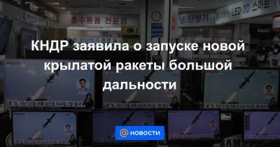 КНДР заявила о запуске новой крылатой ракеты большой дальности - news.mail.ru - КНДР - Япония - Пхеньян