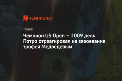 Даниил Медведев - Новак Джокович - Чемпион US Open – 2009 дель Потро отреагировал на завоевание трофея Медведевым - championat.com - Россия - США - Австралия
