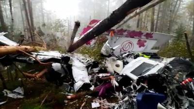 Появились новые кадры с места крушения L-410 в Иркутской области - 5-tv.ru - Россия - Иркутская обл.