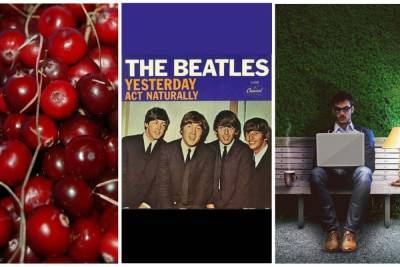 Куприян Клюквенник, День программиста, день песни «Yesterday» ‒ какой сегодня праздник в Томске, 13 сентября - tomsk.mk.ru - Томск