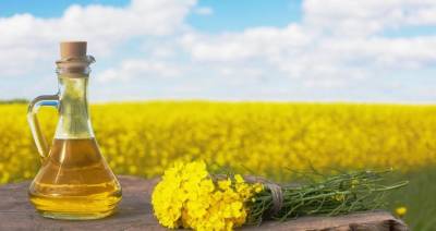 БУТБ отмечает значительный рост экспортных цен на рапсовое масло - produkt.by - Белоруссия